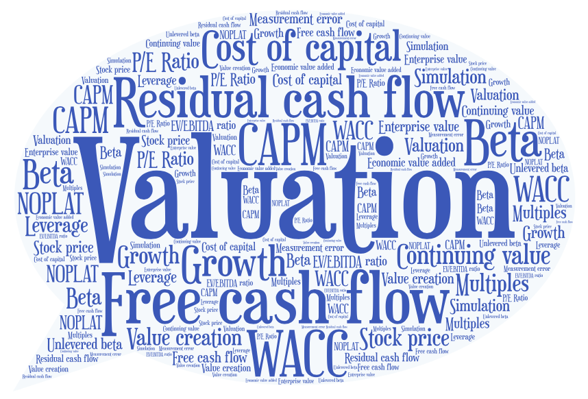 Section: 1. Introduction | Firm Valuation: Fundamentals | TEJU finance
